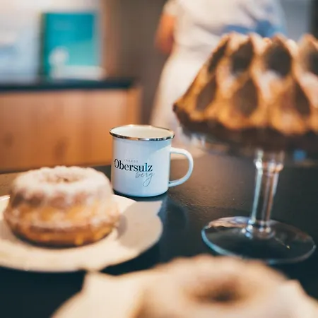 Obersulzberggut Radstadt