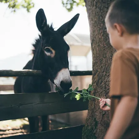 Appartement Obersulzberggut *
