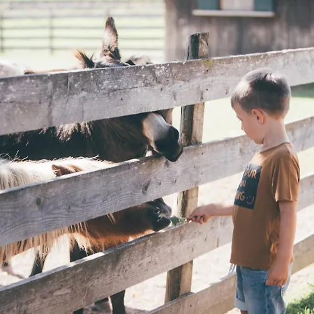 Apartman Obersulzberggut *