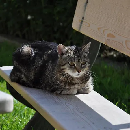 Obersulzberggut Radstadt