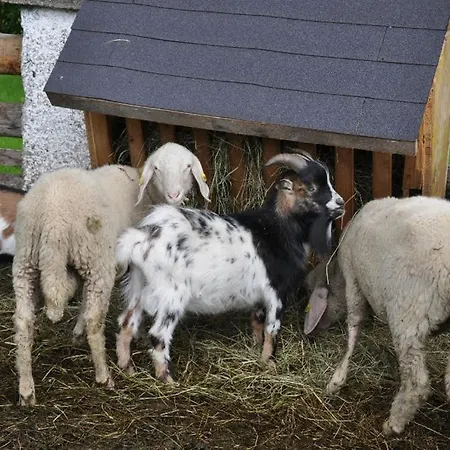 Appartamento Obersulzberggut Radstadt