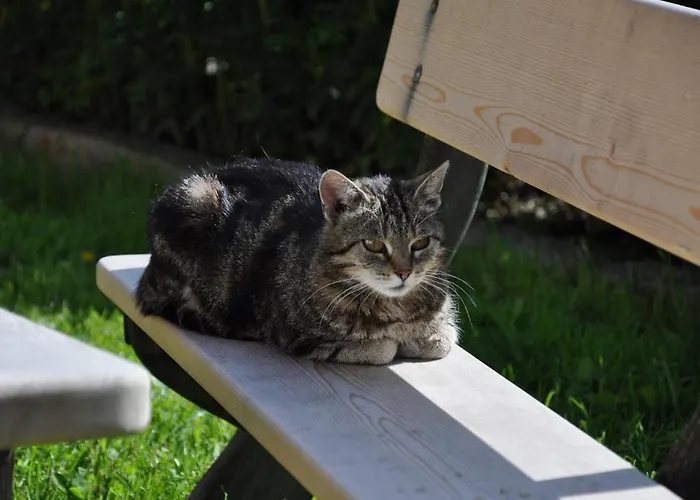 Obersulzberggut ラートシュタット