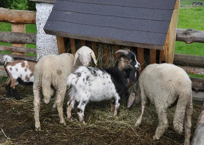 アパート Obersulzberggut ラートシュタット